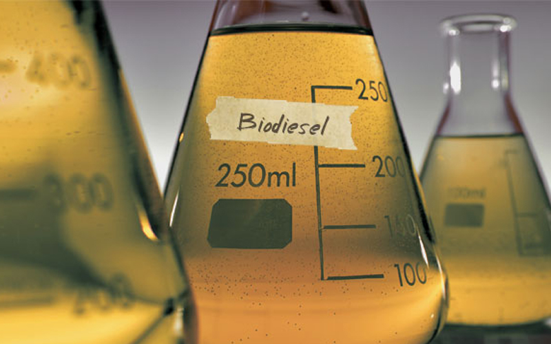 Kelebihan Dan Kekurangan Dari Biodiesel Yang Perlu Kalian Ketahui